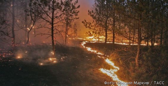Пожарные продолжают борьбу с огнем в 200 км от Билибино