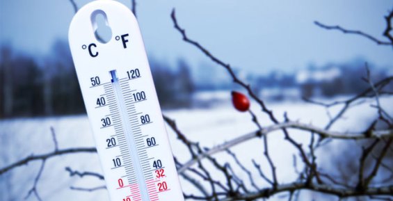 Синоптики регистрируют на Чукотке аномально теплую погоду