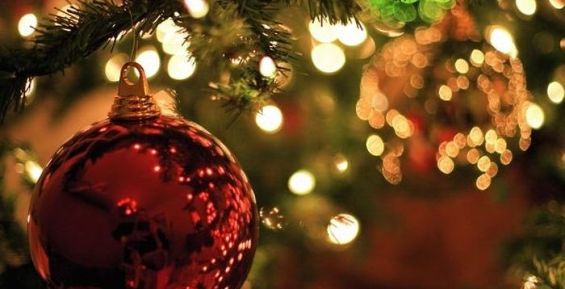 Новогоднюю елку установили в столице Чукотки