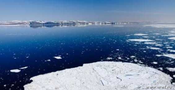 Исследования приморского ученого позволят прогнозировать изменения климата Арктики