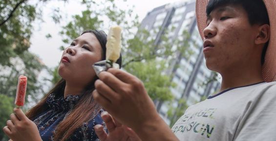 Власти Хабаровского края помогут предпринимателям с экспортом мороженого в Китай