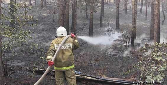 Три природных пожара потушили на Чукотке за выходные