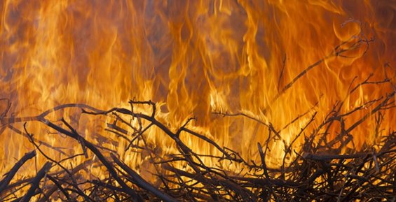 Лесной пожар недалеко от Билибино потушили на Чукотке