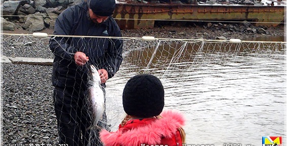 Коренным жителям Чукотки разъяснили нюансы традиционной рыбалки