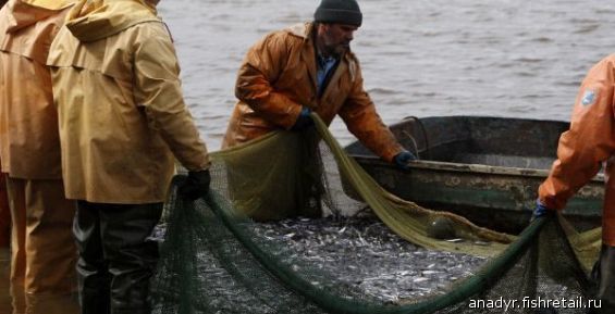Одна из главных рыбодобывающих компаний Чукотки отметила 15-летие