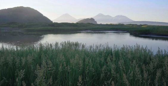 В Минприроды назвали реки Дальнего Востока «относительно чистыми»