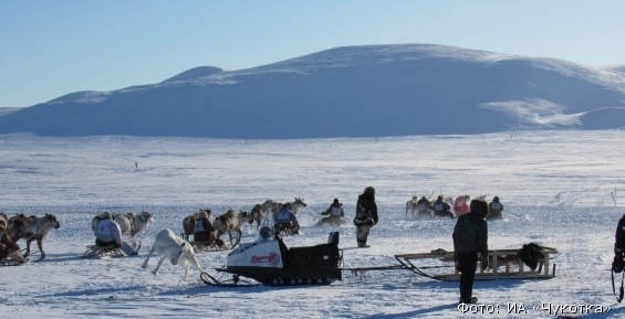 Более 30 снегоходов «Буран» закупили для оленеводческих бригад Чукотки