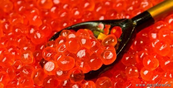 4,8 тонны чукотской красной икры с кишечной палочкой нашли в Якутии