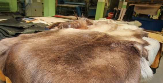 Мастерскую по традиционной выделке оленьих шкур откроют в селе Конергино