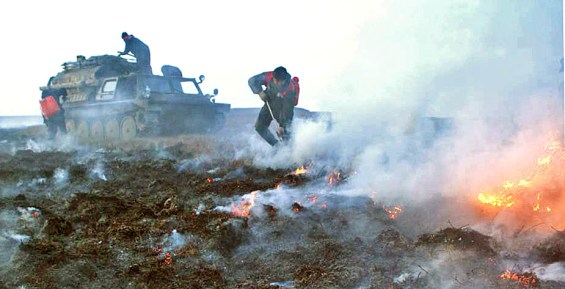 Пожары на оленьих пастбищах потушили на Чукотке