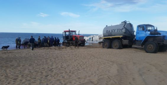 В самом восточном селе России добыли второго в этом году кита