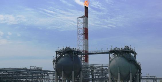 Сахалинская нефтегазовая компания возглавила экологический рейтинг WWF