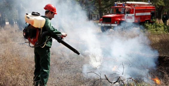 44 пожара обнаружено и потушено на Чукотке в 2016 году