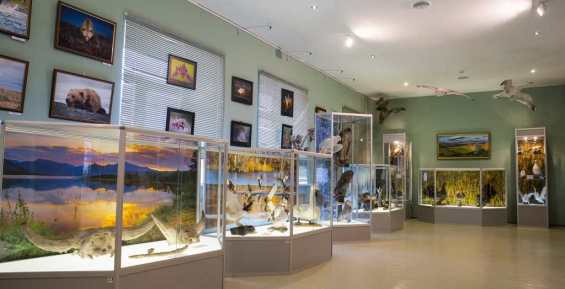 Билибинский музей вновь вошел в Нацреестр ведущих учреждений культуры РФ