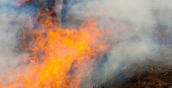 Пожар около села Марково практически потушен