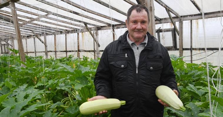 Производство овощей увеличит крупнейшее в Анадыре крестьянско-фермерское хозяйство