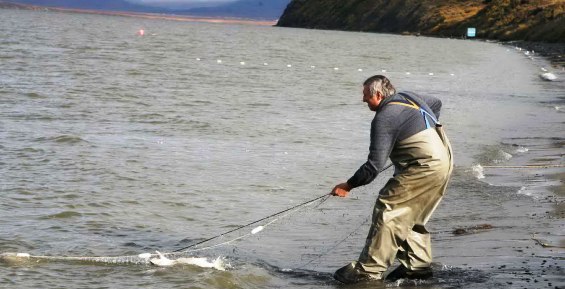 На Чукотке рыбаки-любители оформляют лицензии на вылов лососевых онлайн