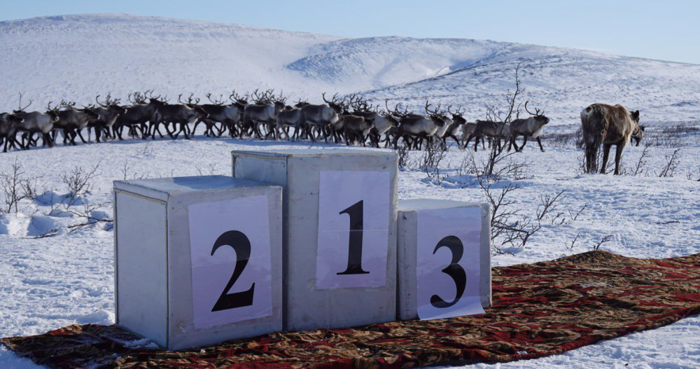 Издание чукотской азбуки, гонки оленеводов и другие проекты поддержал фонд "Купол"