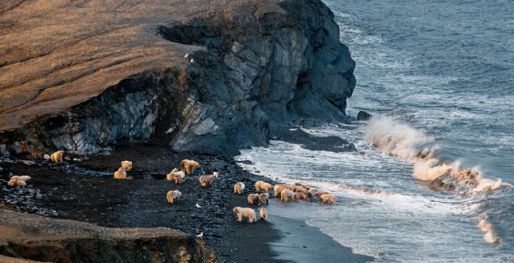 На арктическом побережье России сохраняется аномальное тепло