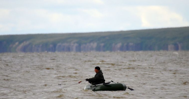 Рыбакам-любителям Чукотки разрешили добыть плюс 33,5 тонны лосося
