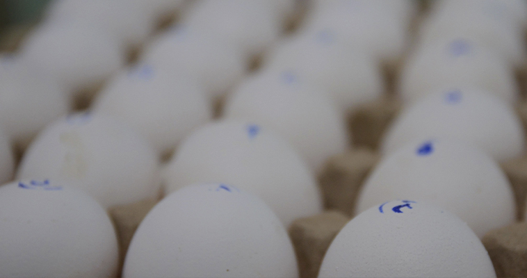 На Чукотке замедлилась годовая инфляция