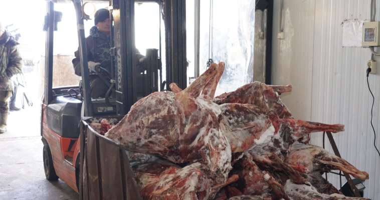 Магазины и образовательные учреждения Эгвекинота получили свежую оленину