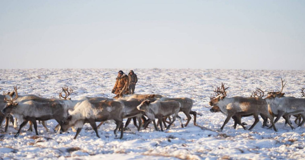 Форум работников традиционных отраслей Чукотки посвятили памяти Анатолия Тынеру