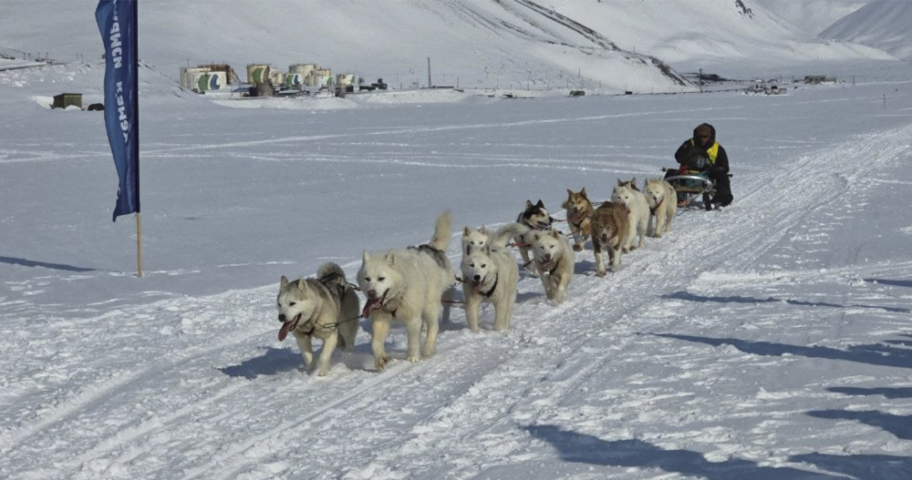 Первенство в гонке на собачьих упряжках "Надежда" снова взял самый молодой каюр