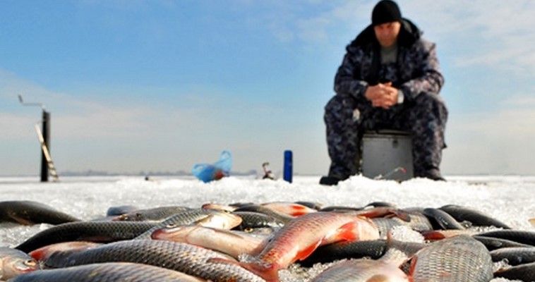 На Чукотке стартовал приём заявок от предпринимателей на вылов речной и озёрной рыбы