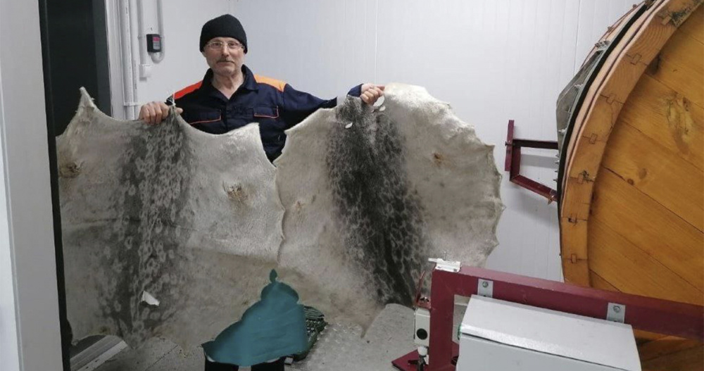 Общины морзверобоев Чукотки смогут выпускать свою продукцию