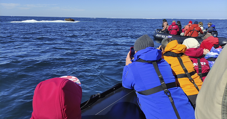 "Чукотский экспресс" открыл сезон морских круизов в округе
