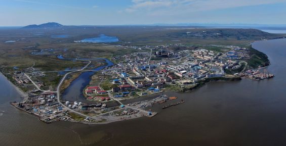 На статус резидентов Арктической зоны претендуют три чукотские компании