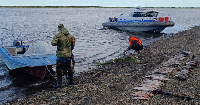 Анадырский суд рассмотрит дело о браконьерстве