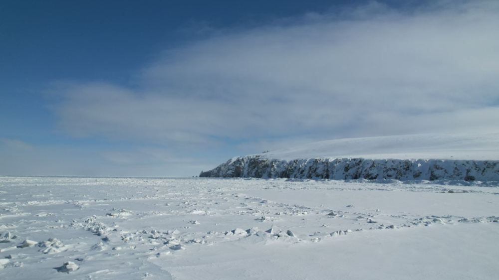 Ветер до 25 м/с ожидается в понедельник на восточном побережье
