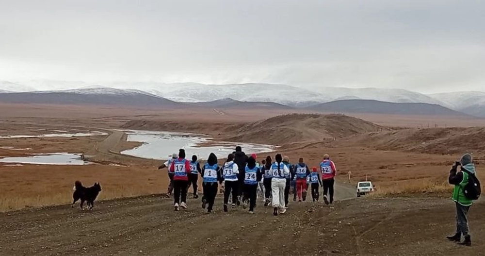 В забеге памяти Кучкильдина в Чукотском районе первым финишировал пёс
