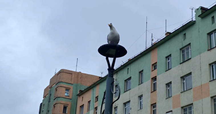 Ветер до 20 м/с ожидается в четверг в МО Певек  
