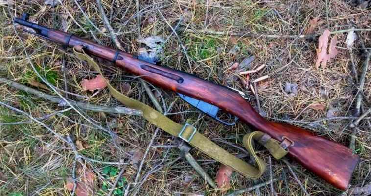 Чукотского оленевода  оштрафовали за утерю оружия
