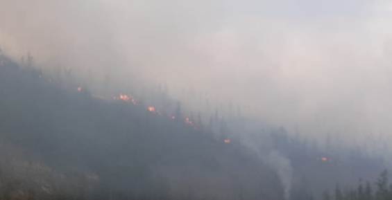 Режим ЧС ввели в двух районах Чукотки из-за лесных пожаров