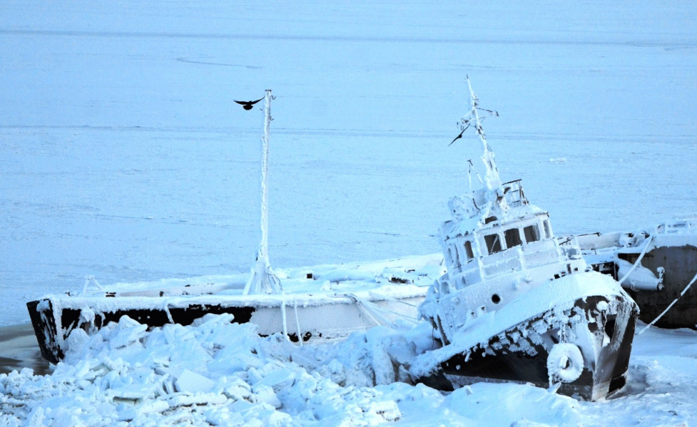 В понедельник на побережье морей ожидается ветер до 20 м/с