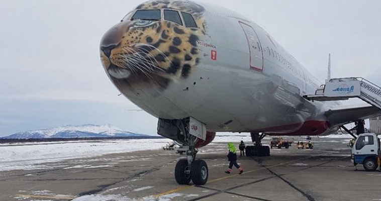 Из-за непогоды летевший в Анадырь самолёт отправили в Магадан