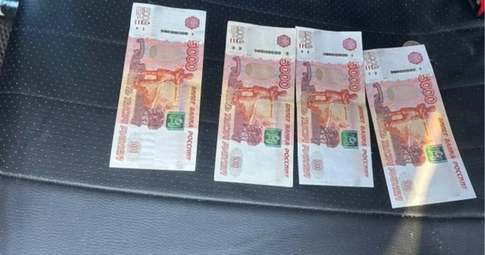 В Певеке водителя из Якутии осудили за взятку полицейским