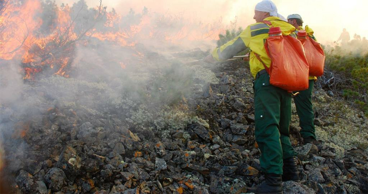 Первый в году природный пожар тушат на Чукотке