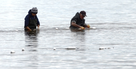 Новые рыболовные участки на Чукотке сформируют инициативные группы
