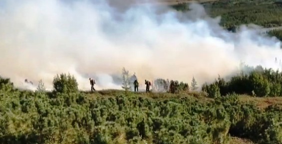 Девять крупных лесных пожаров действуют на Чукотке  