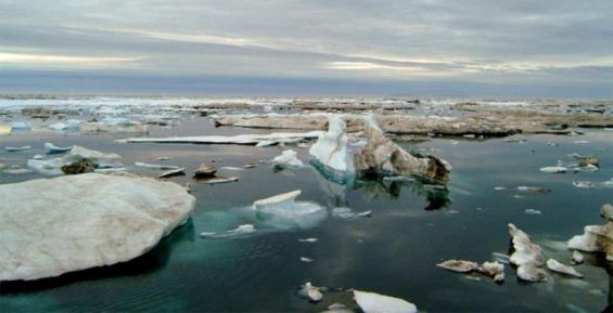 США может ввести запрет на бурение в Арктике