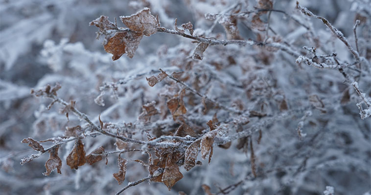 Синоптики прогнозируют ветер до 30 м/с в Ванкареме в четверг
