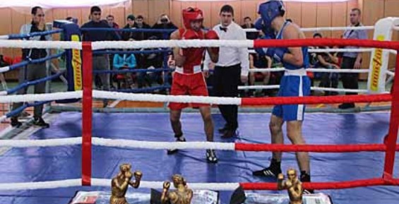 Билибинские боксеры выиграли больше всех медалей на первенстве Чукотки