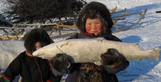 Представители коренных народов Чукотки должны отчитаться о традиционном рыболовстве