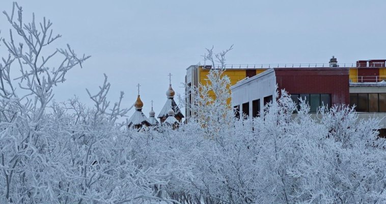 Северный ветер до 15 м/с прогнозируется в округе в пятницу