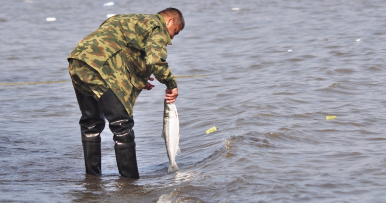 Пользователей девяти рыболовных участков определят на Чукотке